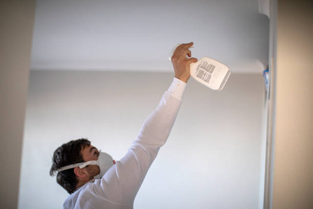 Best Emergency Mold Removal  in Concord, AL