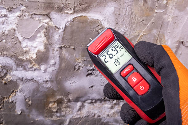 Best Emergency Mold Removal  in Concord, AL