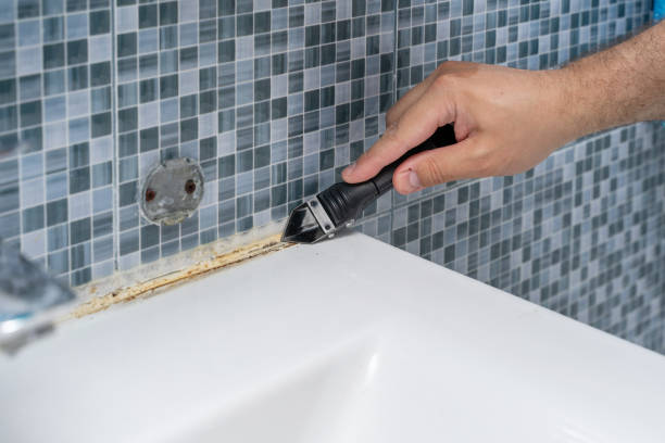 Best Certified Mold Removal  in Concord, AL