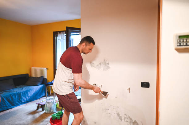Best Toxic Mold Removal  in Concord, AL