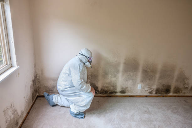 Water Damage Restoration in Concord, AL